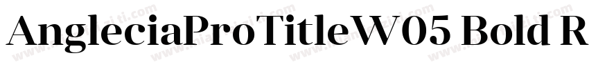AngleciaProTitleW05 Bold Regular字体转换